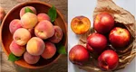 Diferența dintre nectarină și piersică. Care fruct dintre cele două este mai sănătos. Mulți români habar nu au