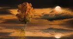 Horoscop WEEKEND 10-12 octombrie 2025: Ce vești bune de aduce finalul săptămânii. Venus, Micul Benefic, se aliniază cu Jupiter, Marele Benefic, aducând noroc, iubire, inspirație