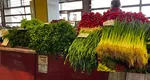 Salata, roșiile și mărarul din serele din România sunt pline de pesticide. Raport îngrijorător al celor de la Autoritatea Națională Fitosanitară