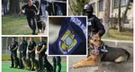 Se fac angajări la Poliția Română! 60 de posturi sunt scoase la concurs. Iată care sunt condițiile pentru înscriere