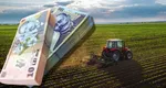 O nouă afacere pentru români. Planta care îi poate îmbogăți pe agricultori. Aduce zeci de mii de euro pe un singur hectar