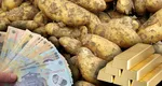 Cartofii noi au început să apară pe piețele din România. Cât costă un kilogram în supermarketuri. Prețurile nu sunt la îndemâna oricui