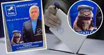 Motanul Oscar, cel mai simpatic candidat la Primăria Suceava, și-a eclipsat stăpânul pe afișul electoral: „Vom câștiga!”