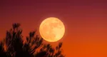Horoscop special: Prima Lună plină după solstiţiul de vară – 21/22 iunie 2024. Se completează ciclul început în 11 ianuarie 2024. 7 zodii care sărbătoresc SUCCESUL muncii lor