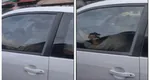 Inconștiență la volan! O șoferiță începătoare conduce în timp ce ține un copil în brațe. VIDEO