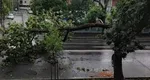 ULTIMA ORĂ. ANM a emis cod galben de vijelii, furtună cu putere de uragan. S-au emis deja 645 de alerte în 2025!