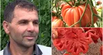 Un bărbat din Prahova produce roșii de o jumătate de kilogram. Daniel Matei: „Sunt maturate natural, nu le-am influenţat cu nimic”