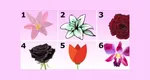 Test psihologic – Ce spune despre tine floarea pe care ai ales-o. Tu știai aceste lucruri despre tine?