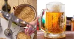 Metoda prin care îți prepara singur berea. Rețeta celei mai răcoritoare băuturi