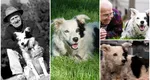 Povestea impresionantă a lui Chaser, cel mai deștept câine din lume, care a apărut pe coperțile revistelor alături de Brad Pitt și Katie Holmes