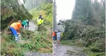 Furtună violentă pe Transalpina! Zeci de mașini au rămas blocate, iar mai mulți copaci au fost doborâți