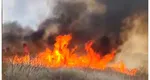 Incediu uriaș de vegetație lângă București! Până și mașina pompierilor a luat foc. A fost emis mesaj RO-Alert