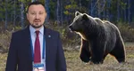 Mircea Fechet: Un urs învăţat cu felia de pizza aruncată prin geamul maşinii nu va mai merge niciodată în viaţa lui în pădure să caute fragi sau mure