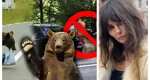 Dana Budeanu plimbă ursul pe Instagram şi dă de pământ cu guvernul Cioloş: „Criminalilor!”