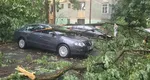 Mai mulți copaci au fost doborâți de furtună în București și Ilfov, marți seară. Ploile torențiale au produs pagube