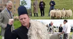 Reacția lui Ghiță Ciobanu după ce a aflat că Regele Charles al III-lea angajează cioban pentru cele 2000 de oi ale sale: „M-am uitat câți bani dă. Ar fi o experiență”