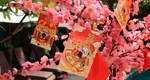 5 ZODII CHINEZEŞTI care atrag NOROCUL divin la finalul săptămânii