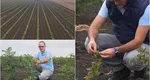 Un arădean a făcut primul pas către combaterea efectelor încălzirii globale. A plantat zeci de hectare de pădure: „Am luat această hotărâre, în primul rând, pentru a atrage precipitațiile în zonă”