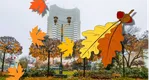 Mijloc de octombrie cu ploi și vreme rece, apoi temperaturile cresc. Prognoza meteo pentru 14 octombrie – 10 noiembrie