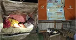 Mai multe persoane au fost exploatate la o stănă din Covasna. Victimele au fost racolate din gările din Brașov și București