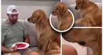 Experimentul adorabil care a devenit viral. S-a prefăcut că doarme, în timp ce câinele saliva uitându-se la mâncarea lui: „Să văd dacă fură”