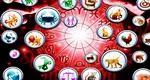 Zodiac chinezesc 20 noiembrie 2024. Finanțele și emoțiile tale sunt stabile și în siguranță astăzi