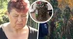 Femeie de 70 de ani din Argeș, cercetată pentru trafic de droguri după ce a fost prinsă cu marijuana în grădină: „Nu le-am jumulit că îmi plăcea cum miroseau”