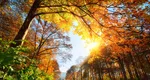 Temperaturi surprinzătoare la final de octombrie. Valul de căldură se prelungește în noiembrie, anunță Elena Mateescu, directorul ANM