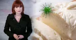Adriana Stere, paralizată după ce a mâncat brânză contaminată. Jurnalista a fost la un pas de tragedie: „M-am trezit și nu am mai putut să merg”