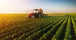 Creșteri colosale pe piața terenurilor agricole. Cât a ajuns să coste un hectar