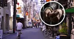 Japonia impune reguli mai stricte pentru bicicliști. Cei care pedalează băuți riscă până la trei ani de închisoare