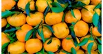 Nu mâncați niciodată mandarine după ce ați consumat aceste alimente. Riști să ai probleme grave de sănătate