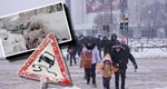 Vortexul polar ajunge în România. Meteorologii anunță patru zile cu ploi și ninsori viscolite. Când va ninge la București