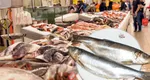 Peştele din România care trebuie evitat în Postul Crăciunului 2024, este cel mai toxic peşte din piaţă
