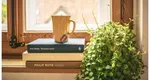 Cum să-ți îngrijești plantele de apartament iarna. Sfaturi simple pentru a le menține sănătoase și viguroase