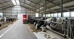 Taxă de mediu de 5200 de euro pe an pentru crescătorii de animale. Este LEGE de la anu!