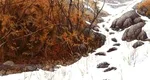 Test de iluzie optică. Numai geniile găsesc ursul ascuns în această imagine