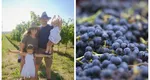 Cum a dat lovitura o familie de români întoarsă acasă după șapte ani în Italia. De la angajații altora la antreprenorii de succes ai unei crame eco