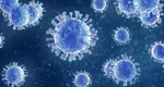 Alertă mondială privind boala X! Simptomele sunt similare cu cele ale gripei