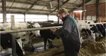 Efectele schimbărilor climatice. Fermele românești își concediază angajații pentru prima dată în ultimii 10 ani