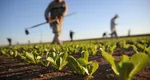 Comisia Europeană propune noi reguli prin care să-i sprijine pe fermieri. Este prioritară inclusiv combaterea practicilor comerciale neloiale