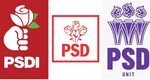 Cum a pierdut PSD voturi la alegerile parlamentare din cauza a două partide clonă