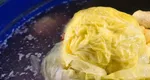 Ce trebuie să faci după ce deschizi butoiul cu varză murată ca să nu facă floare