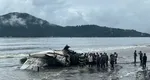 Avion de pasageri prăbuşit în Brazilia. VIDEO cu momentul impactului