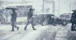 Cod galben de ninsori, viscol şi vijelii în jumătate de ţară. Avertizarea ANM a intrat deja în vigoare. Cu ce se vor confrunta românii în următoarele 24 de ore