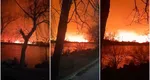 Incendiu violent în Delta Dunării. Focul s-a extins din cauza vântului puternic