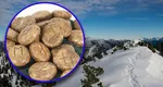Previziuni RUNE 3-9 martie 2025. WUNJO, cu faţa în jos, îţi cere să revizuieşti totul, RAIDO, întoarsă, te trimite să refaci trasee