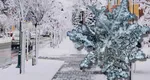Se întoarce iarna în România, în plină primăvară. Meteorologii ANM au modificat prognoza, zonele lovite de frig