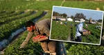 Se dau banii înapoi. Sume uriaşe încasate ilegal de români sunt investigate de autorităţi