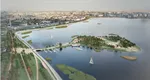 Specia rară descoperită de specialişti pe Lacul Morii: „Pe timpul iernii, vin în număr mare”